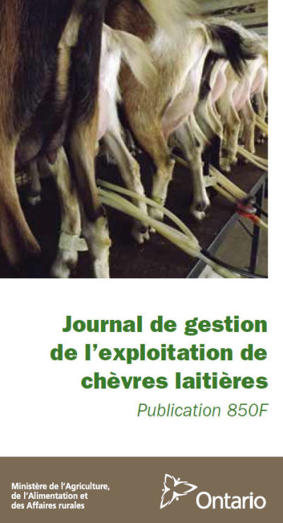 Image de la couverture de la publication intitulée Journal de gestion de l