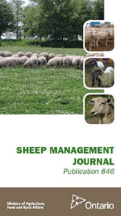 Front cover image of publication 019260
