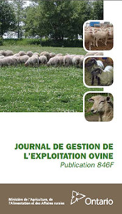 Front cover image of publication 019261