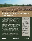 Front cover image of publication 300985