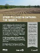 Front cover image of publication 300989